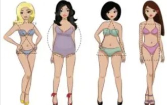 Body Type & Shape
